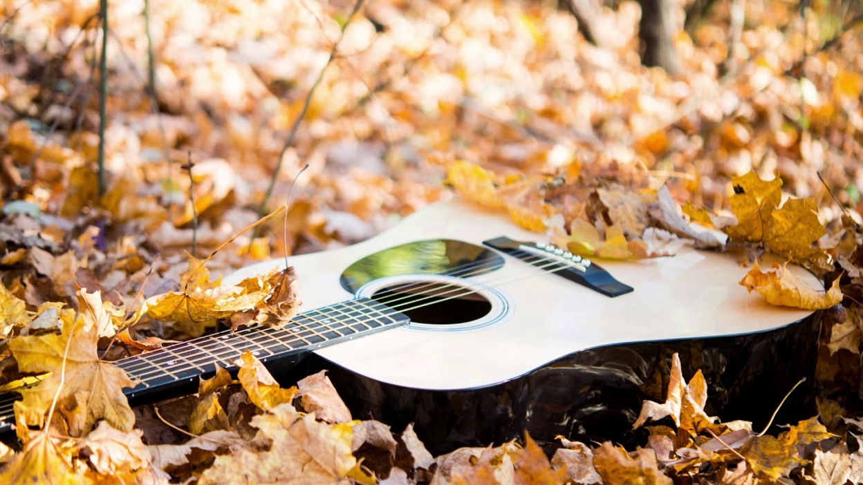 Гитара осень листья