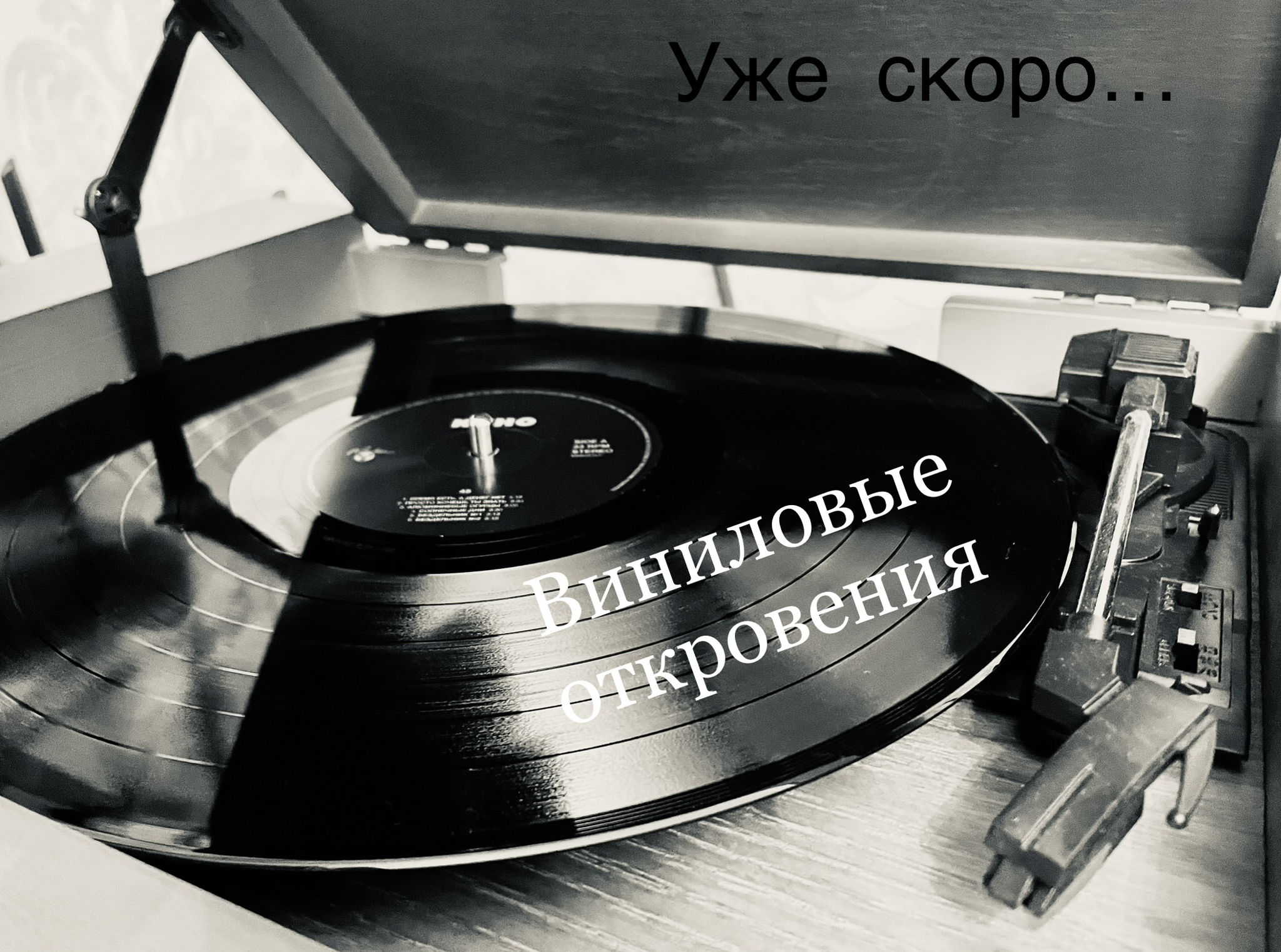 Виниловые откровения