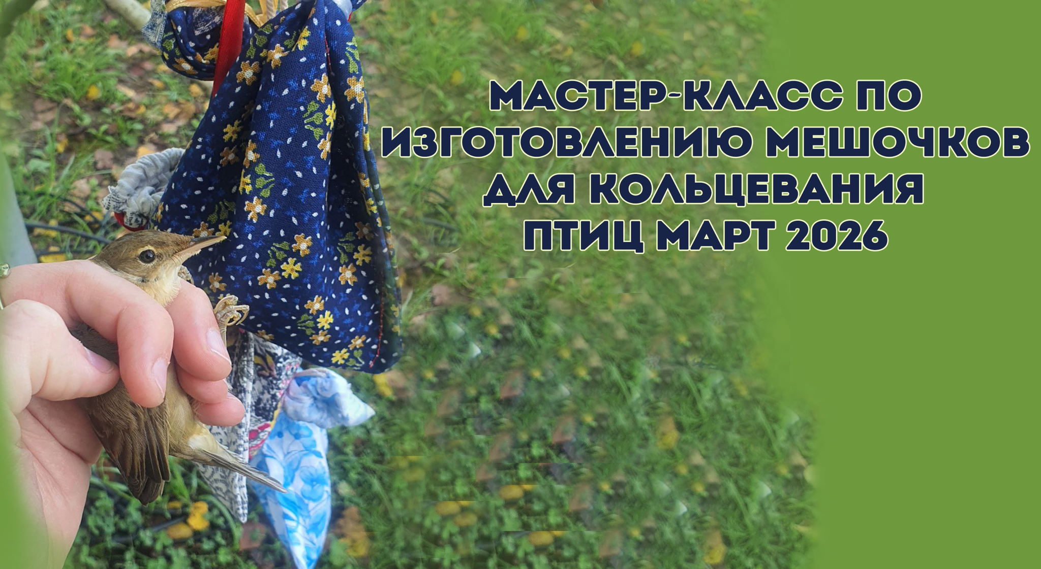 Мастер-класс по изготовлению мешочков для кольцевания птиц март 2026