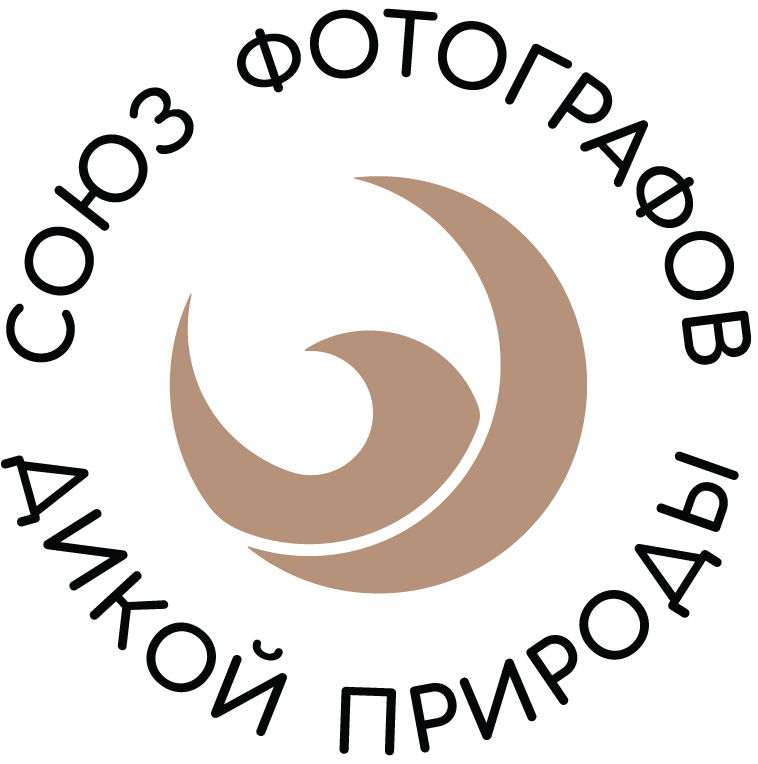 СФДП