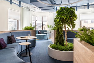 Coworking Fest: день открытых дверей в коворкинге SOK Достоевский