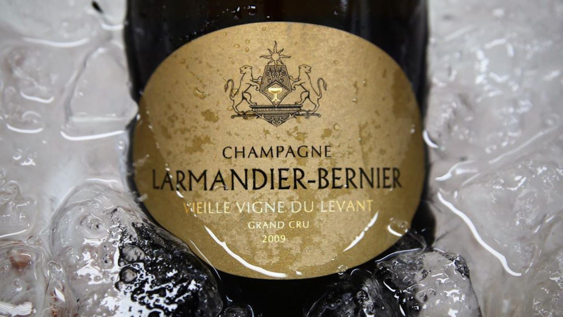 Вечер шампанского Larmandier-Bernier