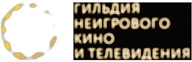 Гильдия неигрового кино и телевидения