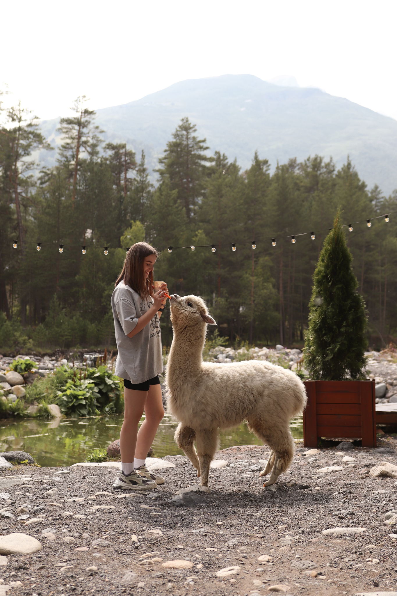 Парк Альпак Набережные Челны