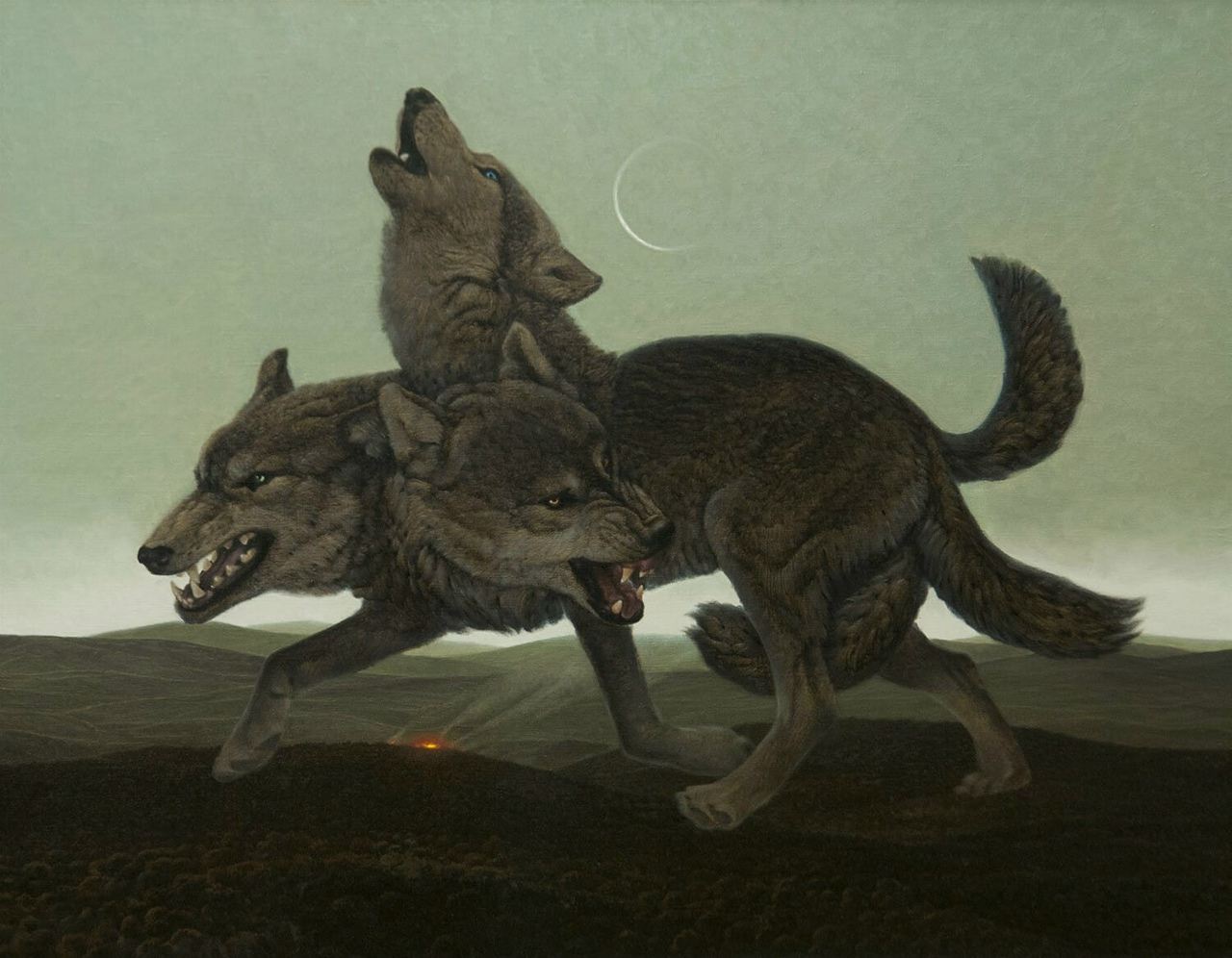 Лекция «Волки: сказки, мифы и реальность»