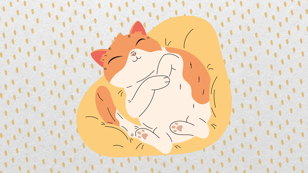 Кот-супергерой