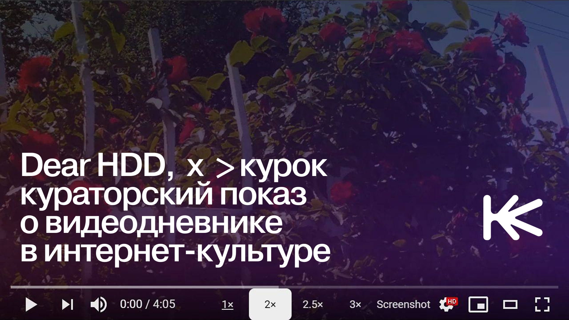 Dear HDD, x &amplt;курок / Кураторский показ. Да кто этот ваш видеодневник?