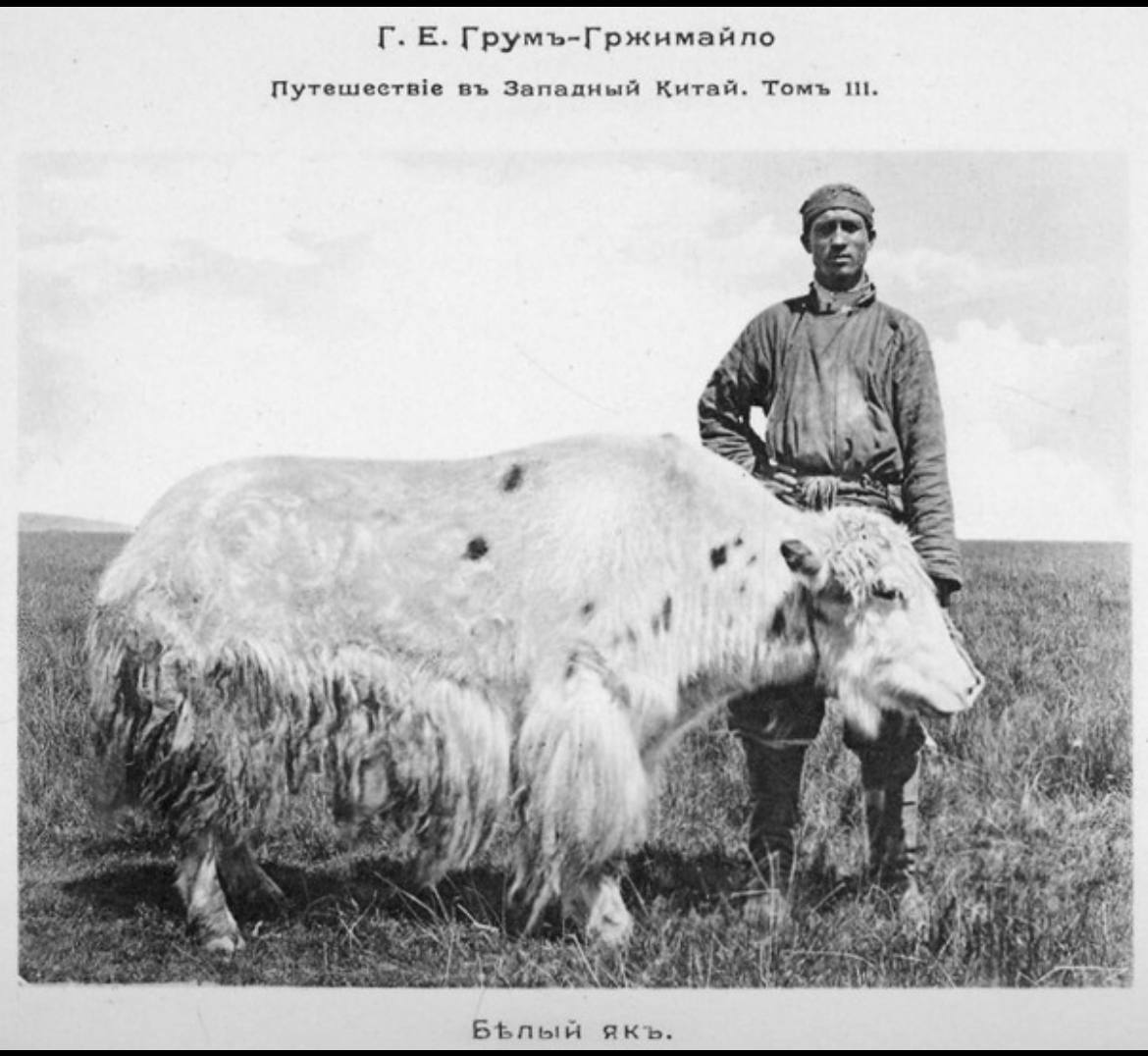 Интеллектуальная игра «Галопом по Востокам». Часть 2. Лекция и игра