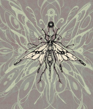 INSECT
