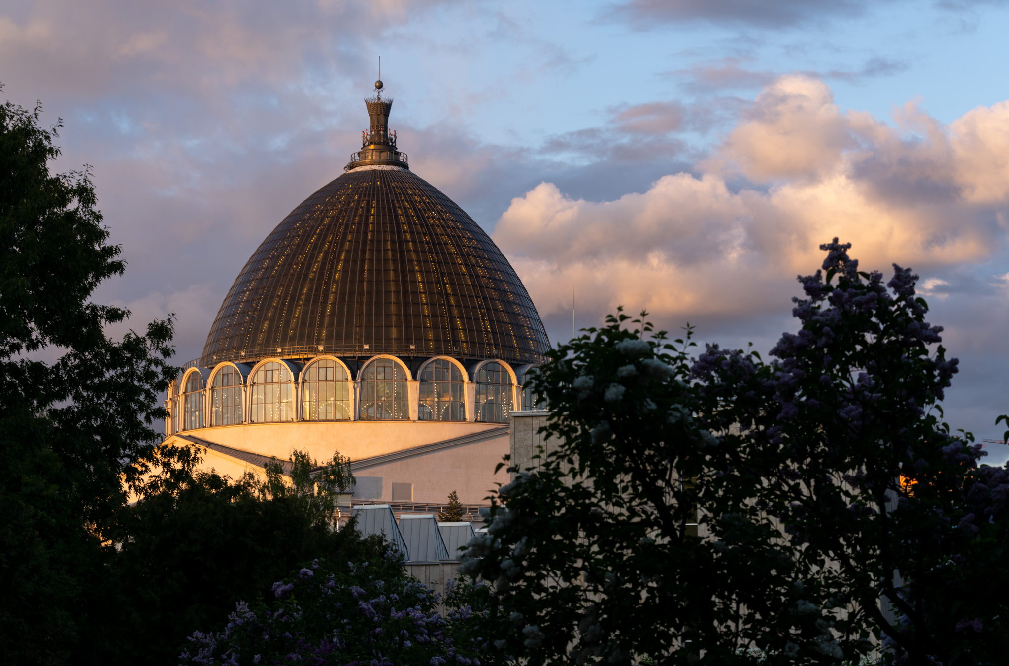 Тематическая экскурсия «Орёлики» Королева. Первый отряд»