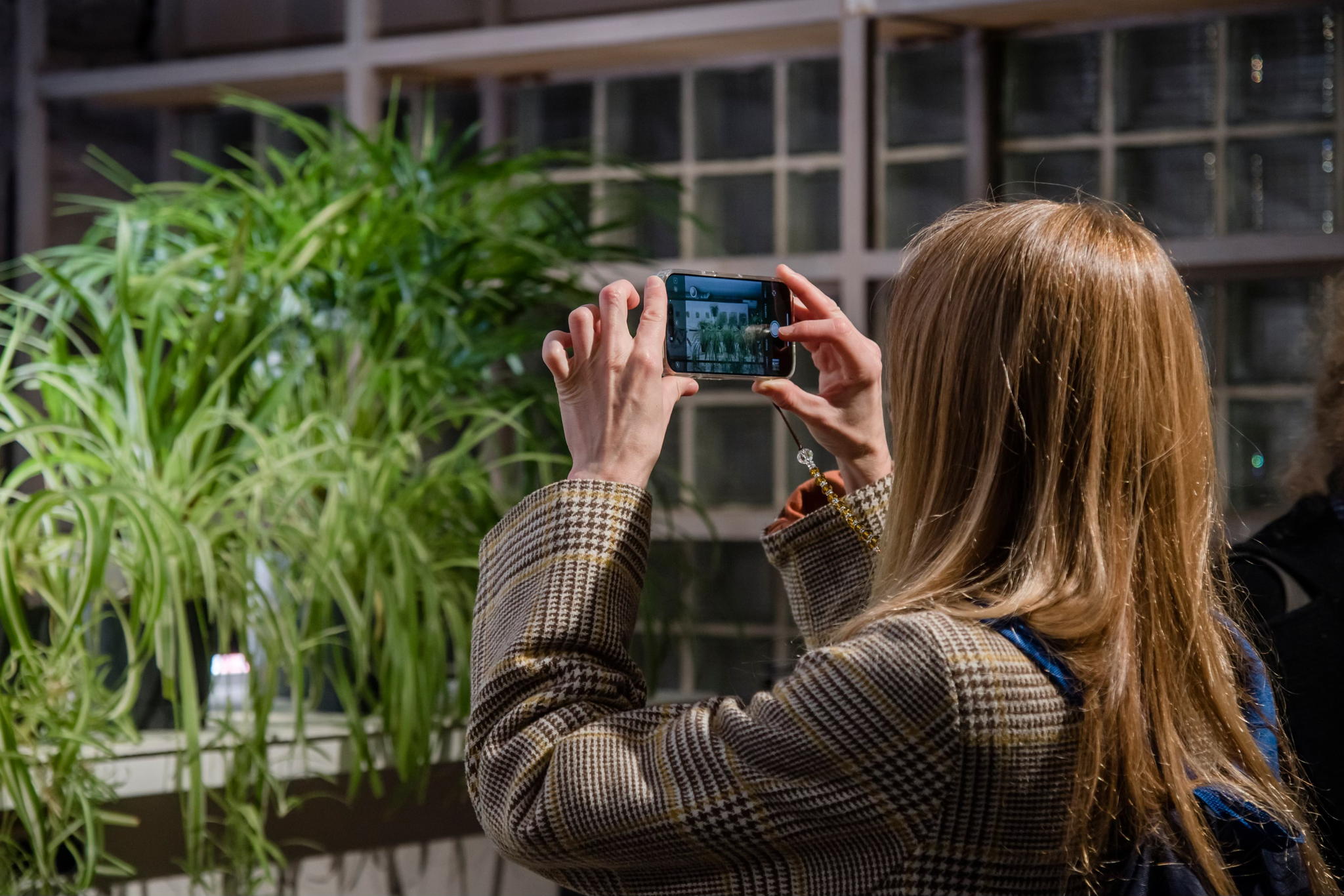 Авторская медиация по двухчастной выставке «Просто лист»