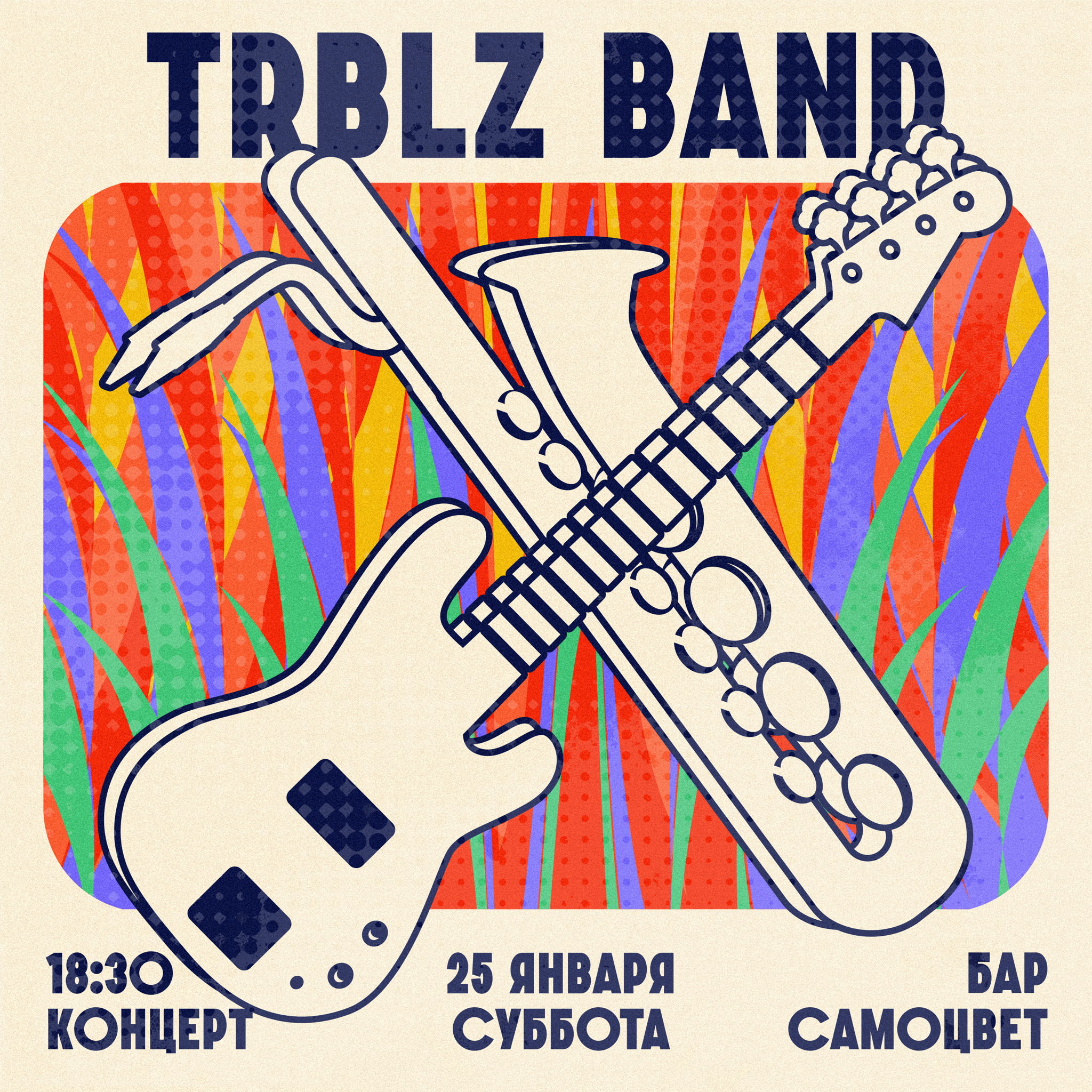 Концерт TRBLZ band