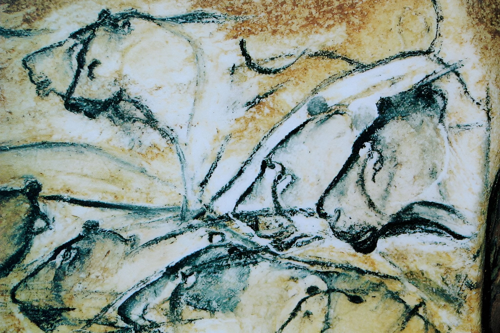 Лекция Евгения Черленка "Самое раннее первобытное искусство (палеолит)"