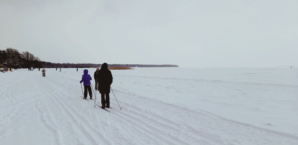 Бесплатная экскурсия «Сестрорецкий Курорт. Море, сосны и старинные дачи»