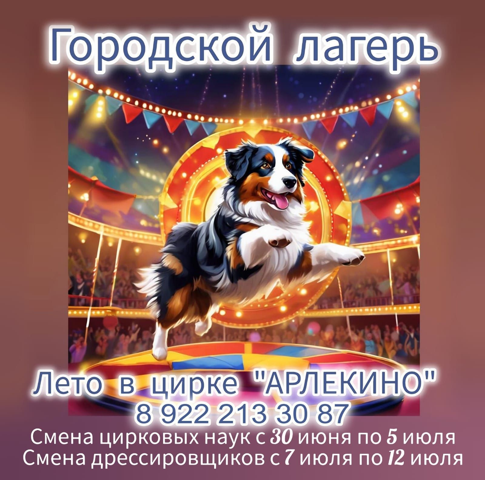 Летний цирковой лагерь