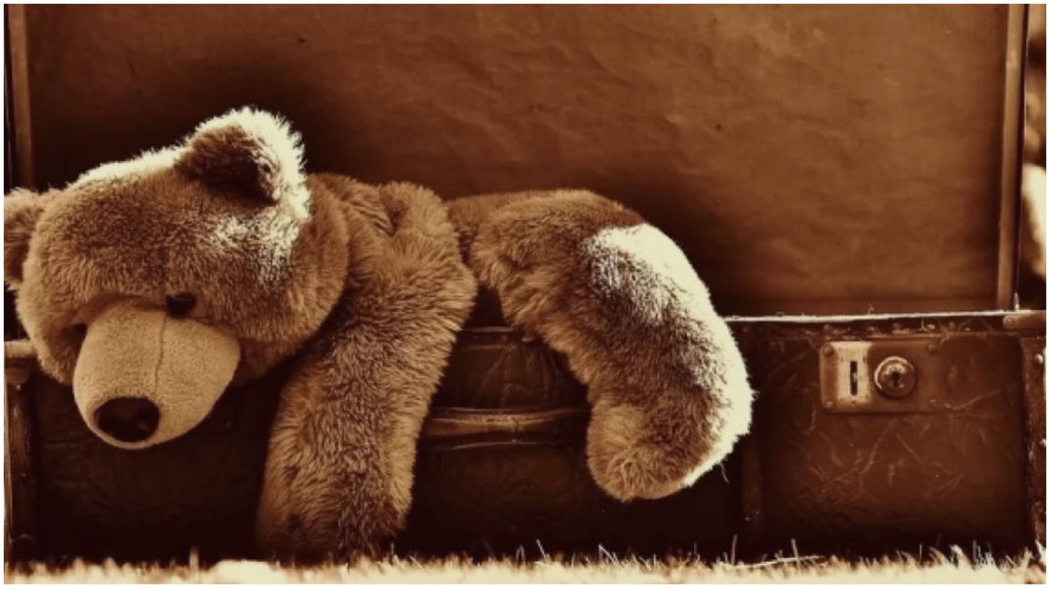 Психологическая лекция ОНЛАЙН «Плюшевый медведь в окопе: Как детско-родительские отношения предопределяют взрослую трагедию в нескольких поколениях»