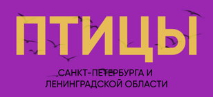 ПТИЦЫ САНКТ-ПЕТЕРБУРГА И ЛЕНИНГРАДСКОЙ ОБЛАСТИ