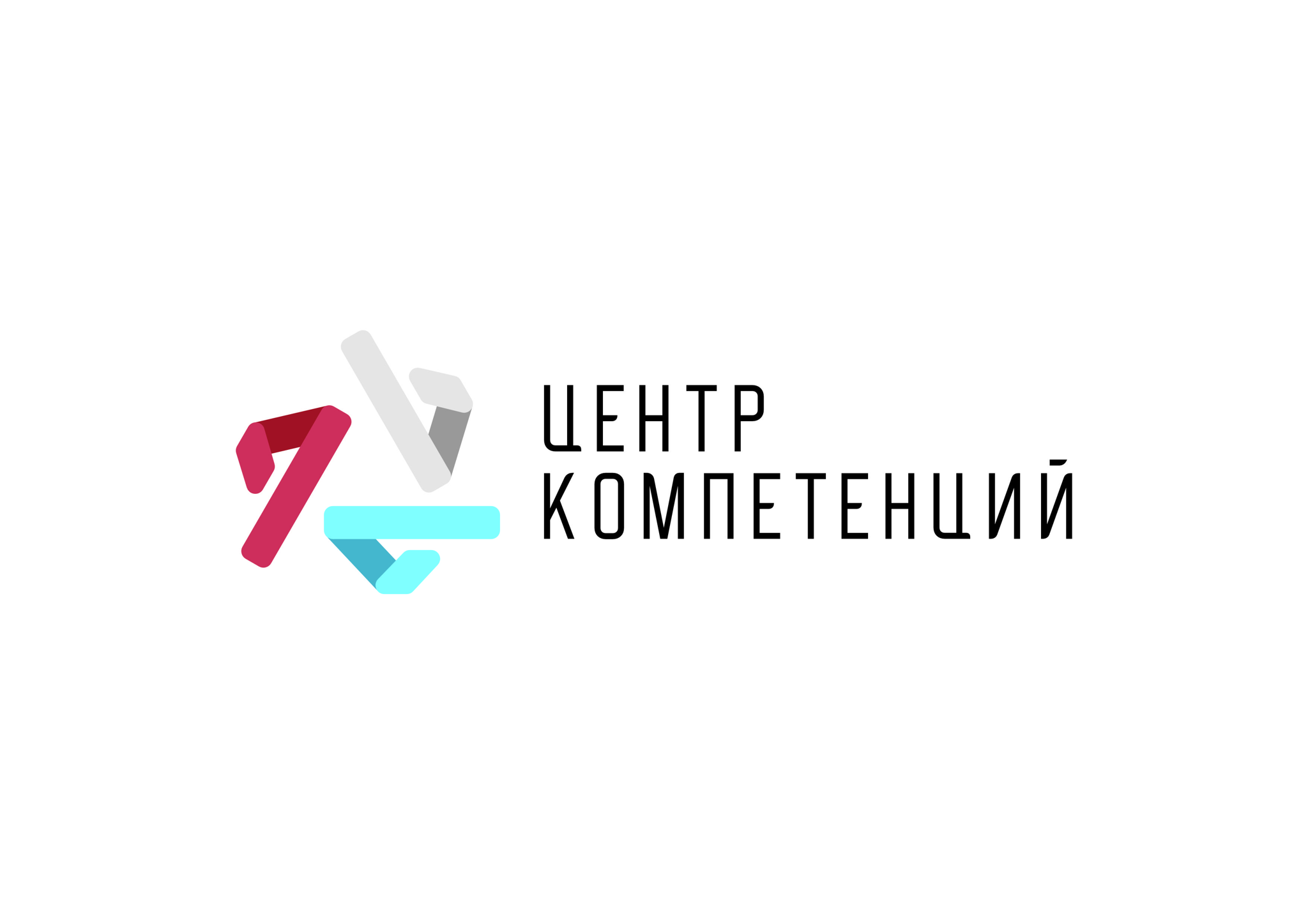 Проект «Центры компетенций» президентской платформы «Россия – страна возможностей»