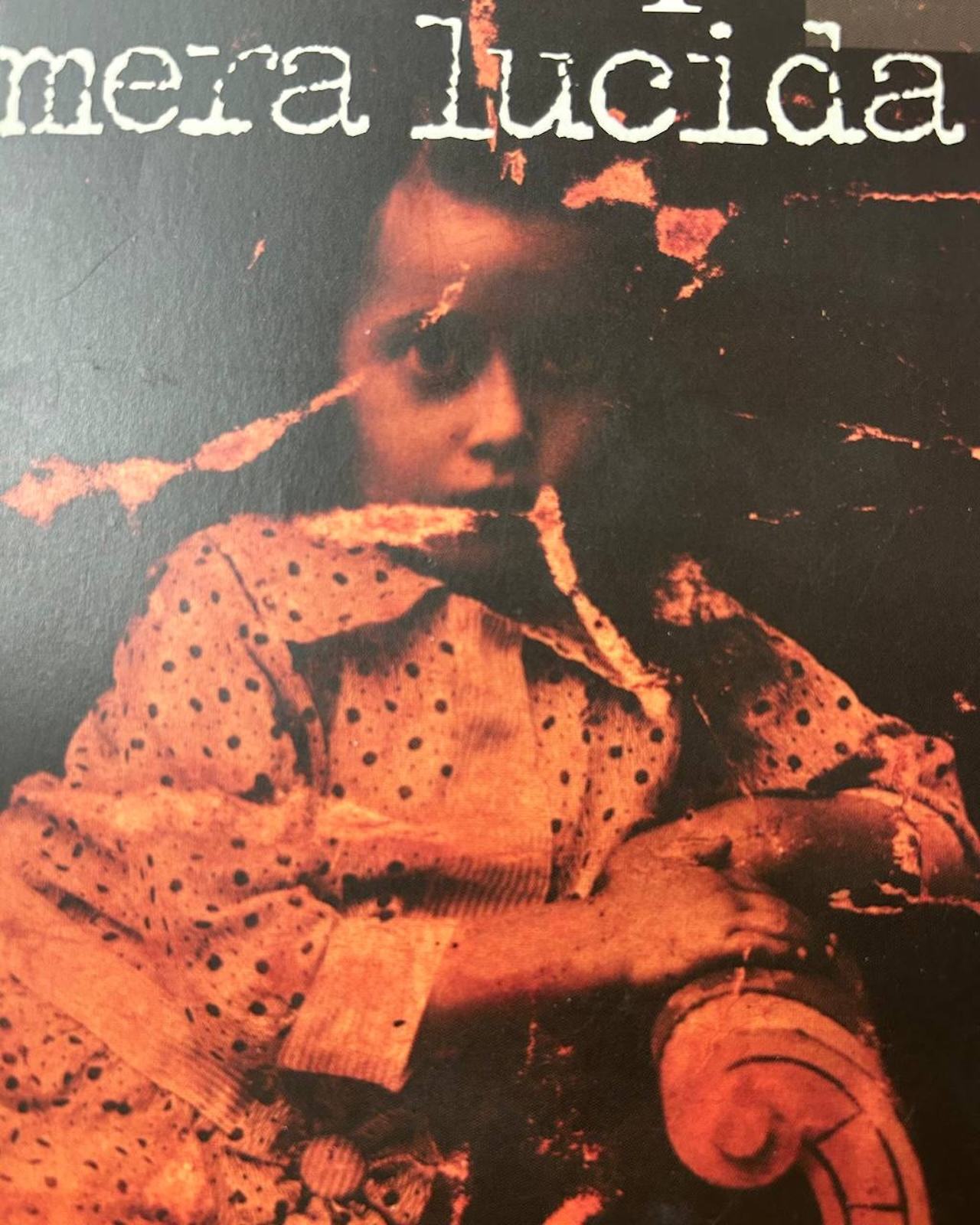 О природе фотографии. «Camera lucida». Ридинг-группа