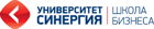 Университет Синергия