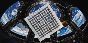 Мини-конференция Космической Культуры и Искусства в рамках выставки “ISS Payload Gallery” в AIR Gallery