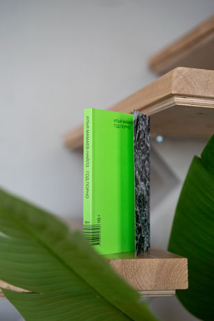 Книжный клуб по роману Ильи Мамаева-Найлза «Год порно»
