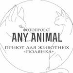 Фотопроект "Any Animal"