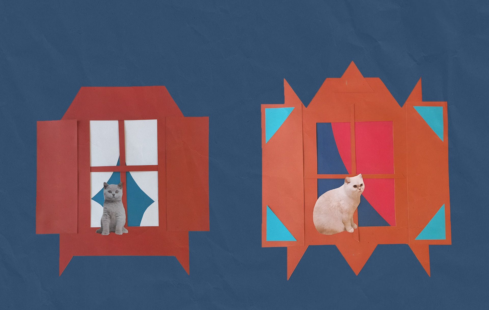 Кошки на окошке