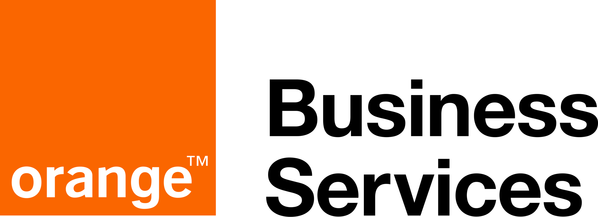 Orange Business Services 