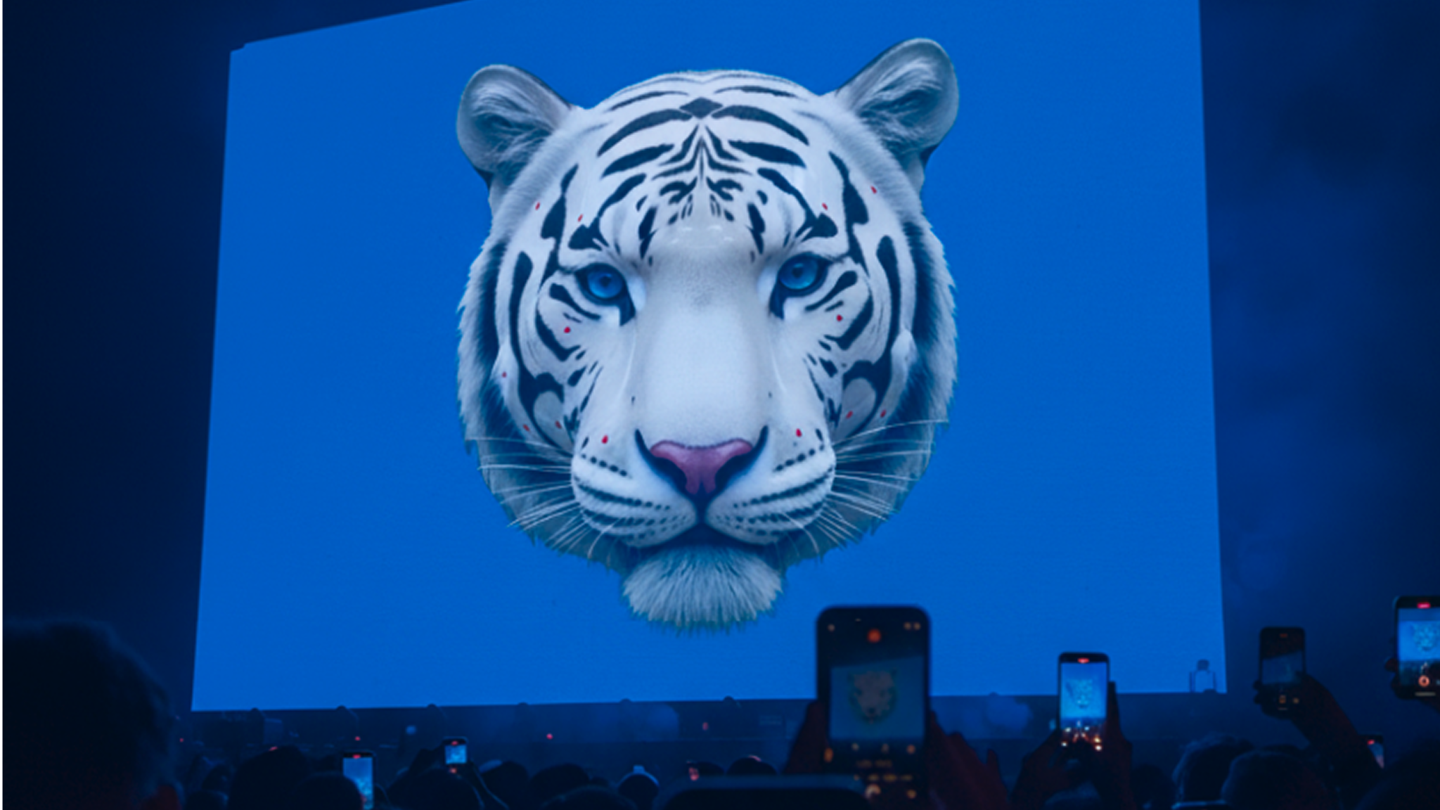 BASS TIGER — CYBER‑ZEN SHOW