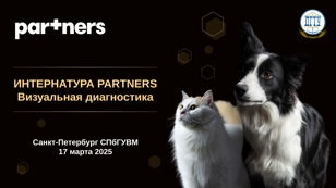 Интернатура-Partners2025 по тематике «Визуальная диагностика»