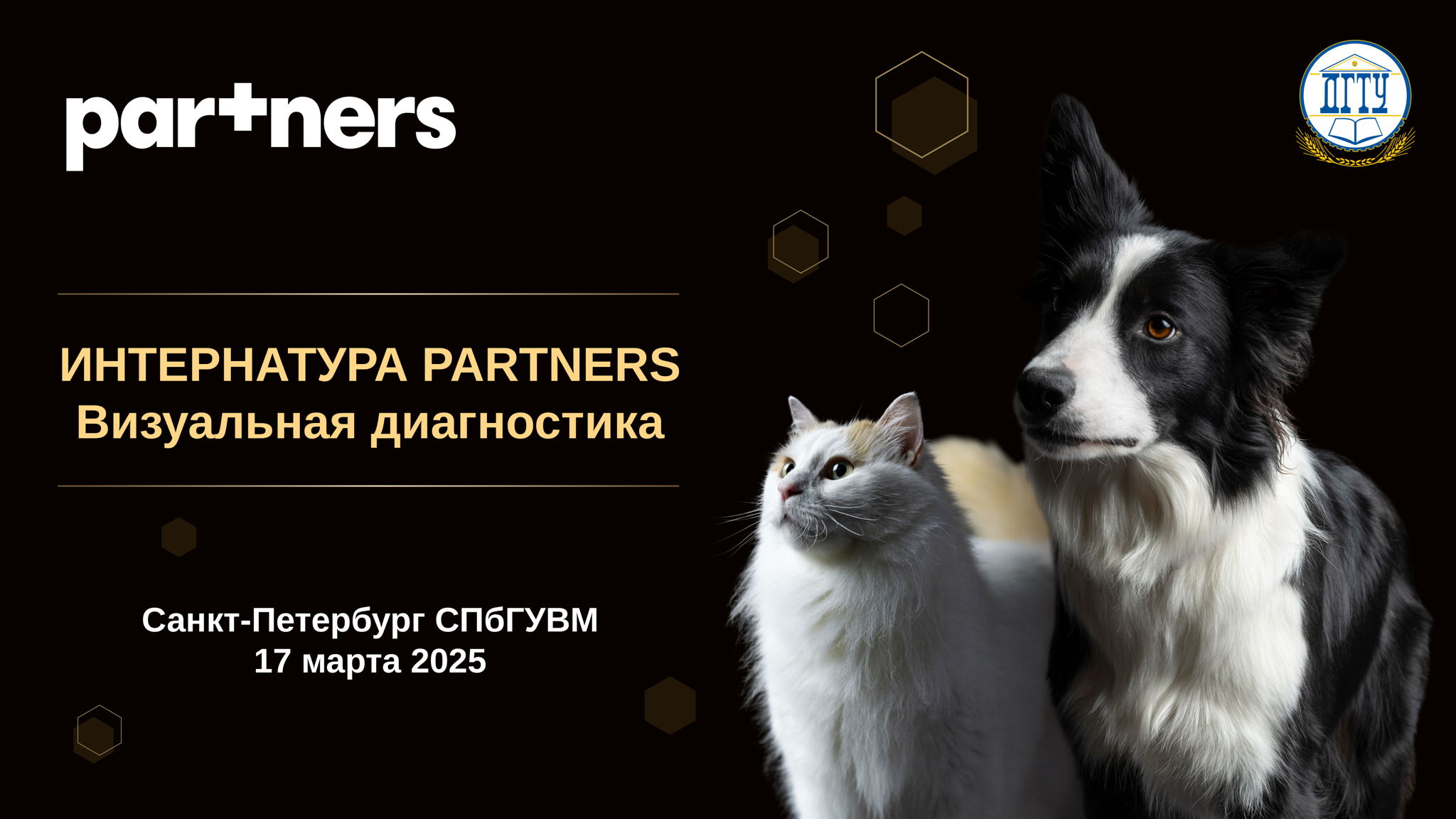 Интернатура-Partners2025 по тематике «Визуальная диагностика»