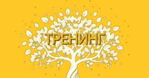 Экспресс-тренинг "ТОЧКА ОПОРЫ"
