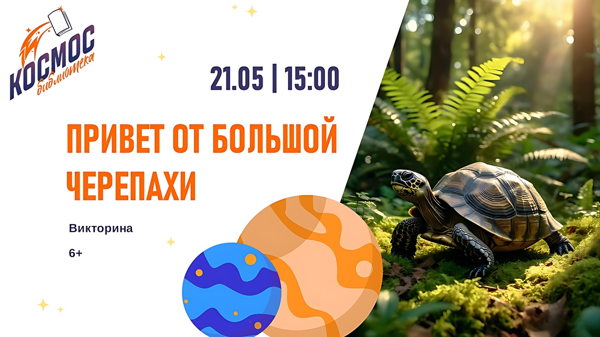 Привет от большой черепахи