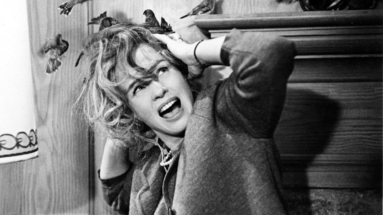 Хоррор как социальное высказывание: от Хичкока до Джордана Пила