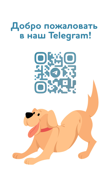 Лекторий пушистых дел. Лето время поездок и пикников, о чем стоит знать?