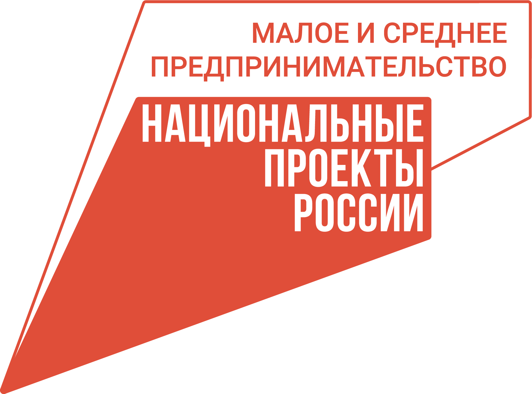 МСП. Национальные проекты России