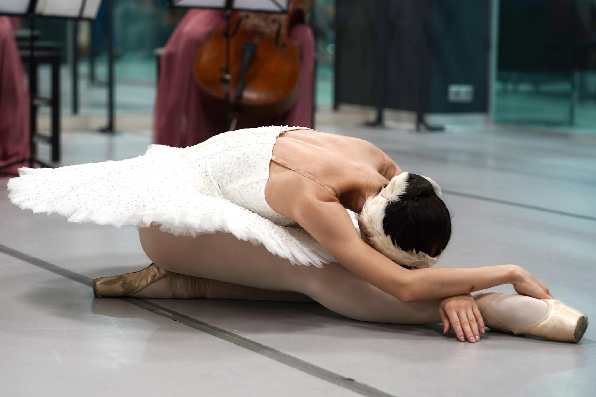 Балерина в гостях у Скрипки