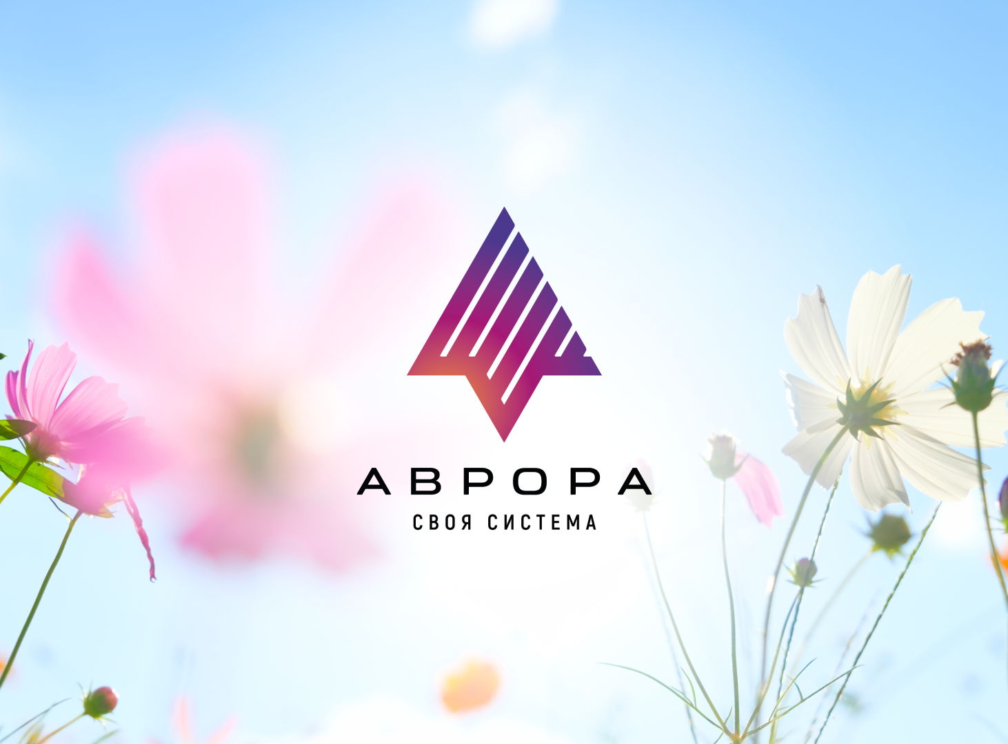 Аврора: создаем свою систему #ВМЕСТЕ