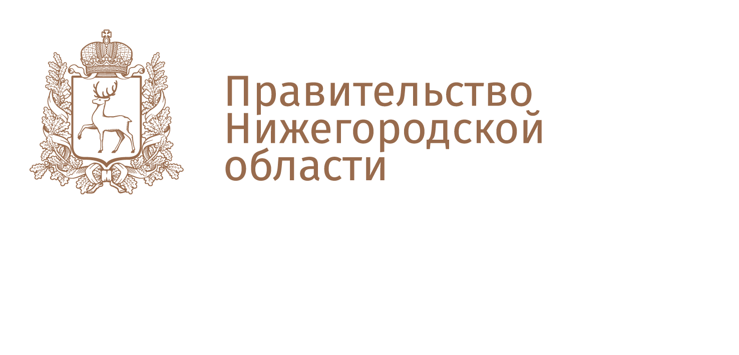 Правительство Нижегородской области