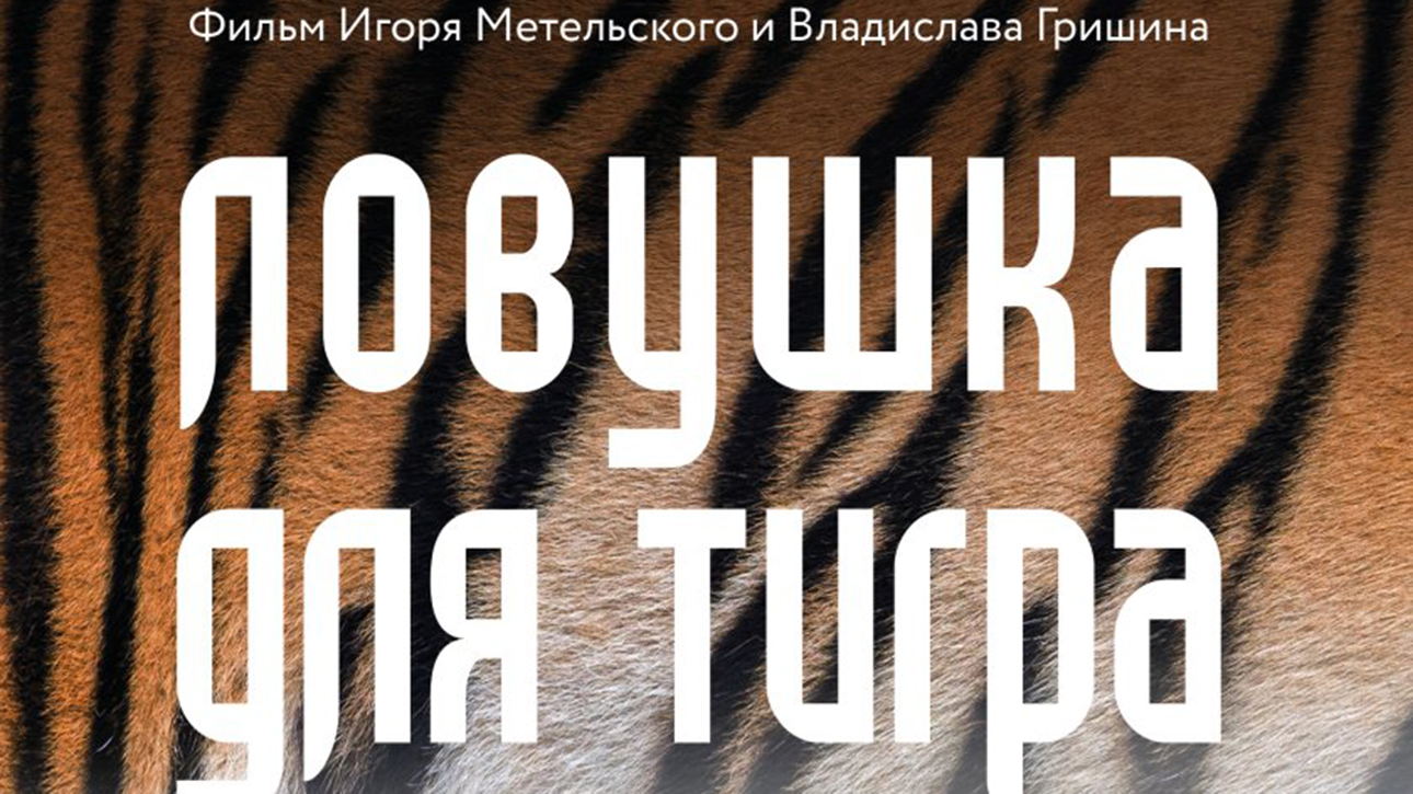 Игорь Метельский, Владислав Гришин «Ловушка для тигра»