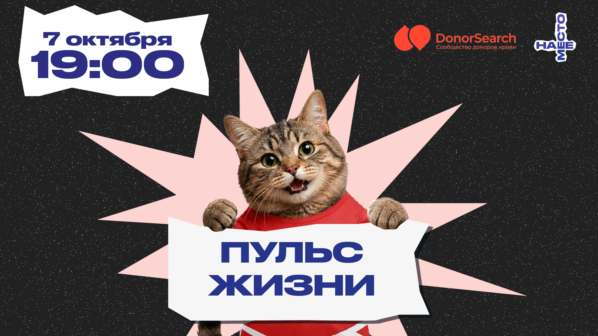 «Пульс жизни»: донорство как часть жизни