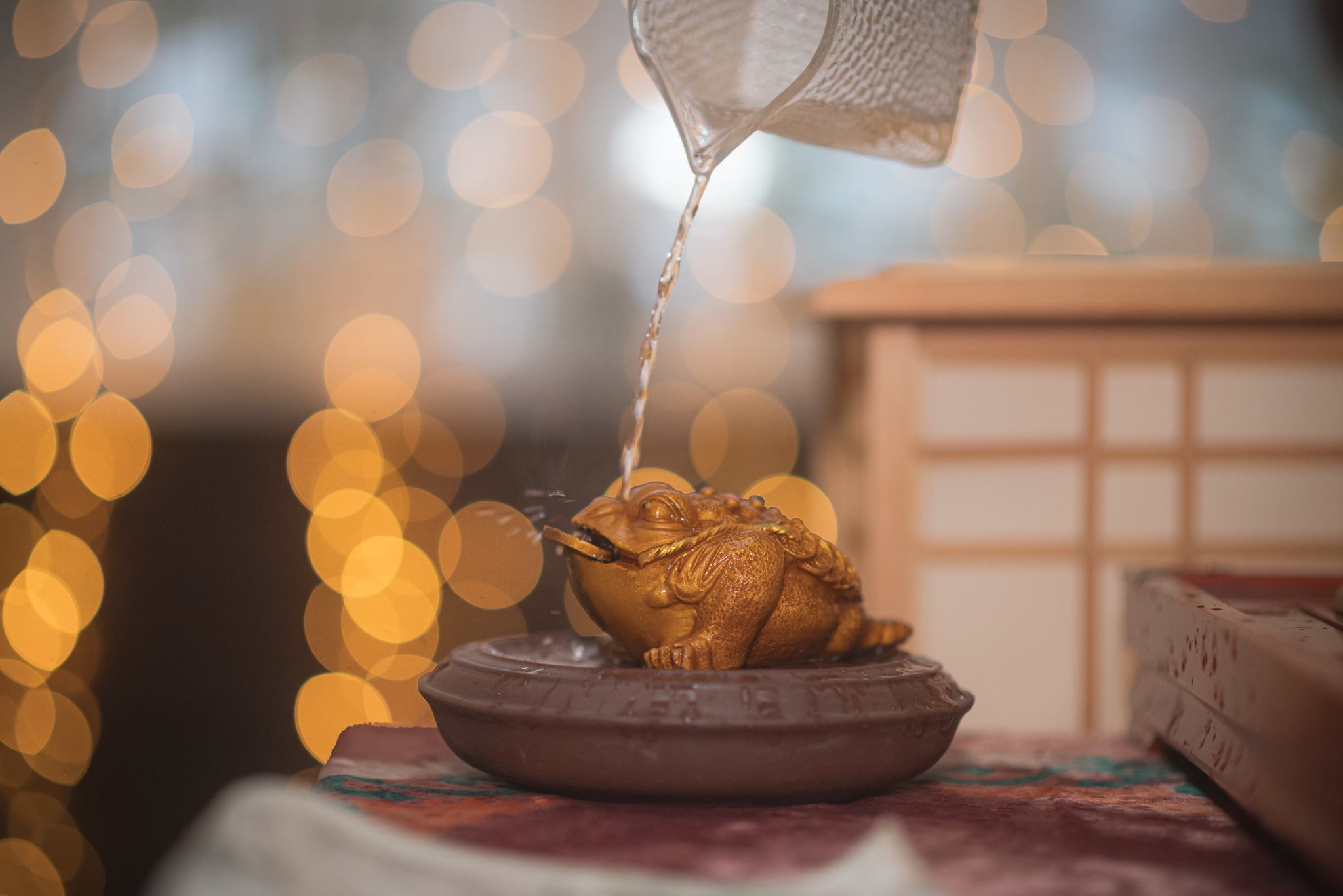 11. 02 | 18. 02 | 25.02 | Жабьи чаепития