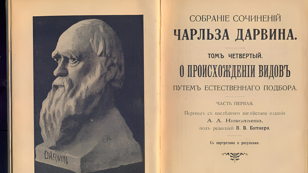 Лекция Максима Винарского "Смех подпольного человека"