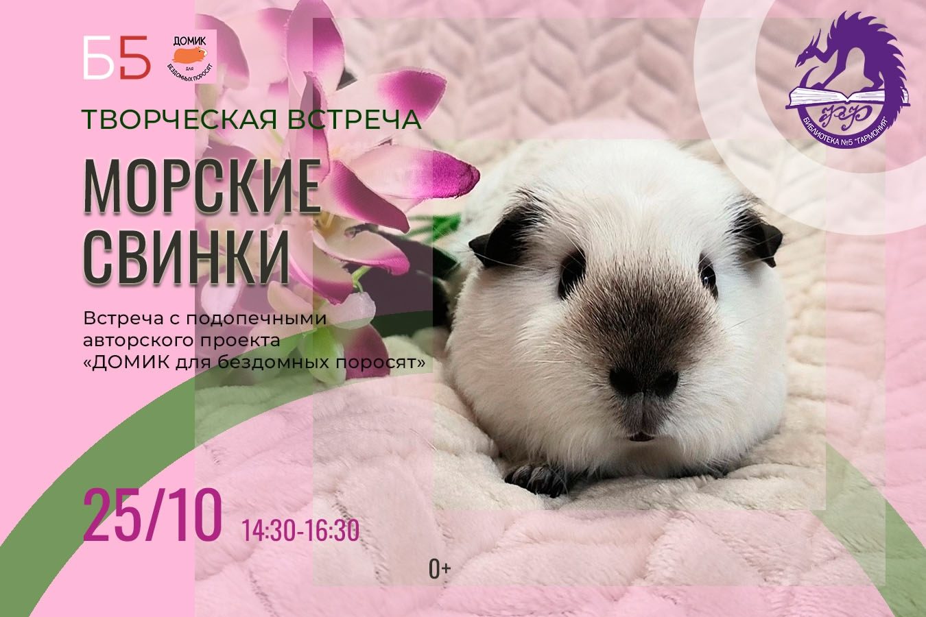 Морские свинки