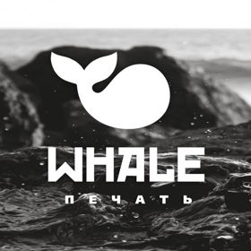 Whale Studio 