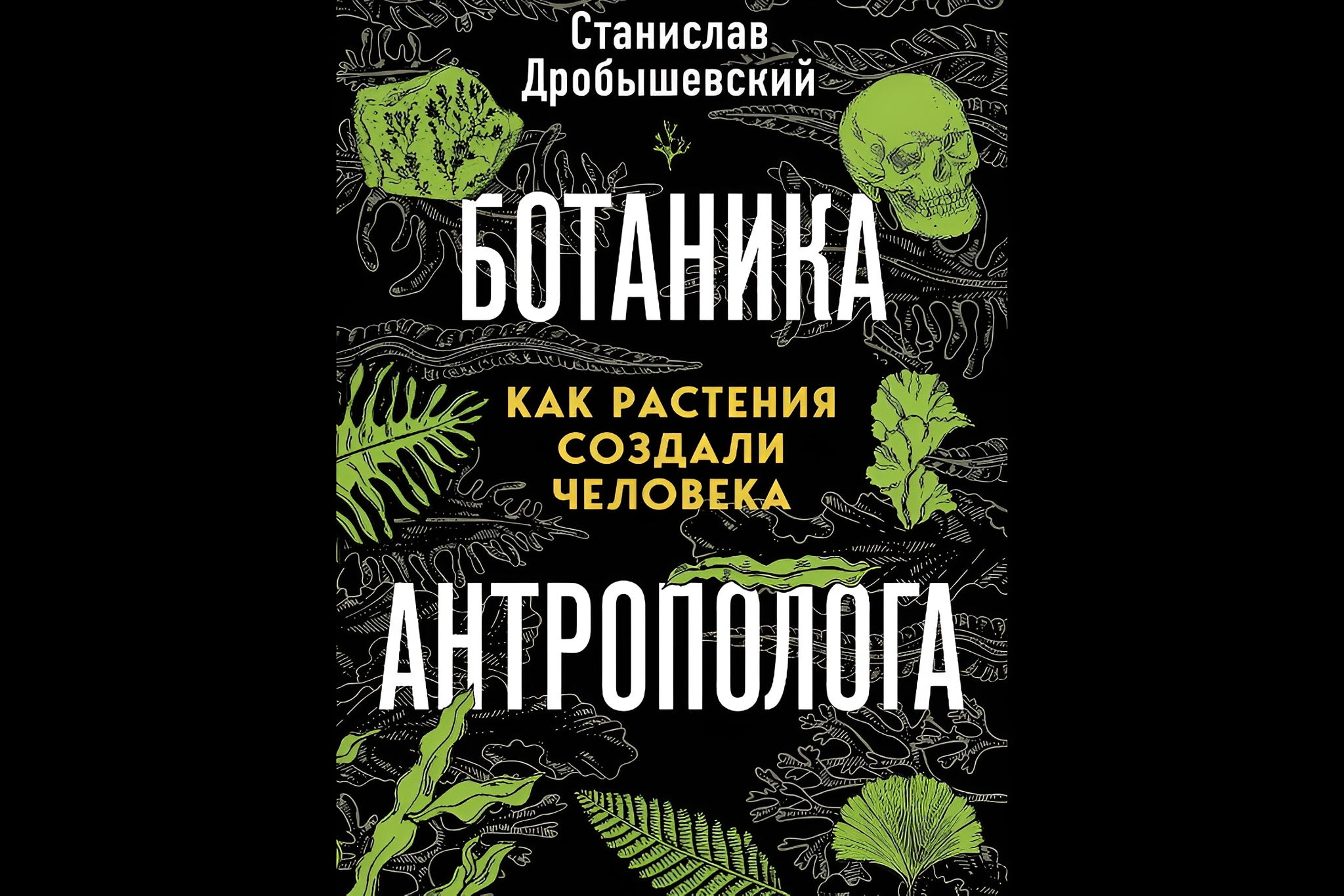 Онлайн-лекция Станислава Дробышевского "Ботаника антрополога" в рамках презентации одноименной книги