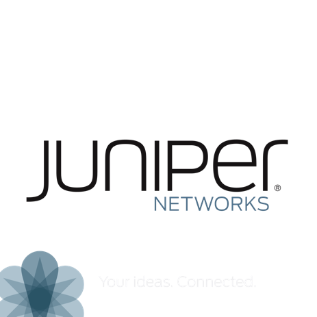 Juniper
