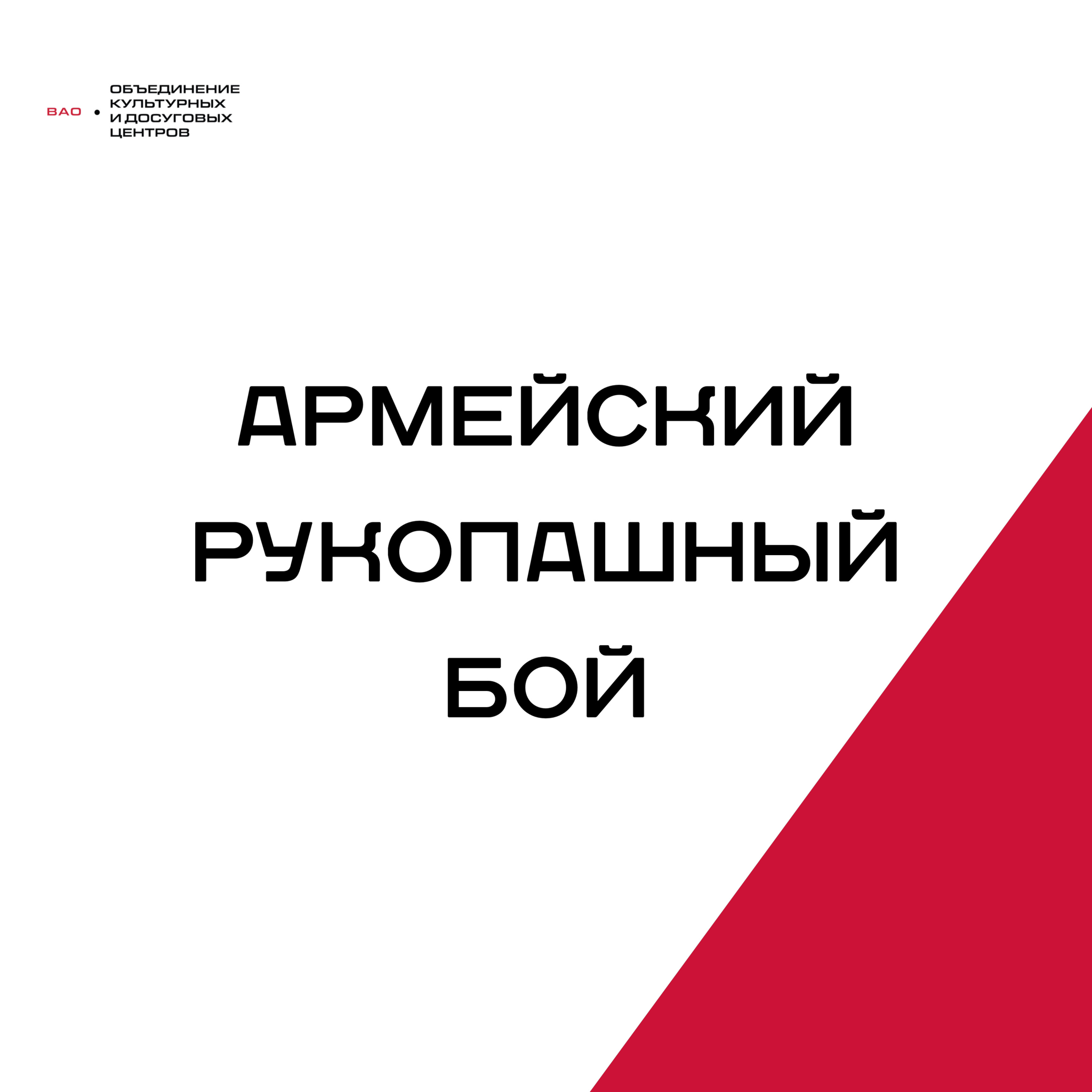 Армейский рукопашный бой