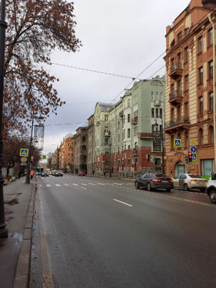 По Каменноостровскому проспекту